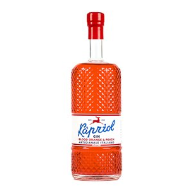 alkohole-mocne-gin-11