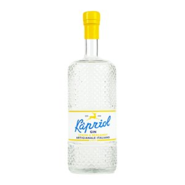 alkohole-mocne-gin-14